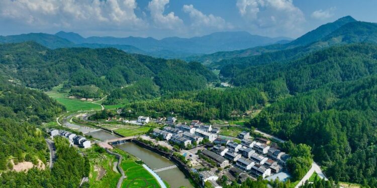 China ranks first in the world in carbon sink capacity of forests and grasslands