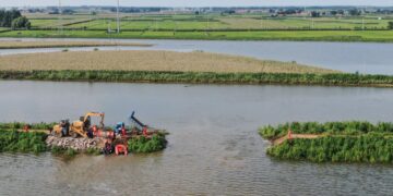 China’s central bank boosts financial support for agriculture, small businesses