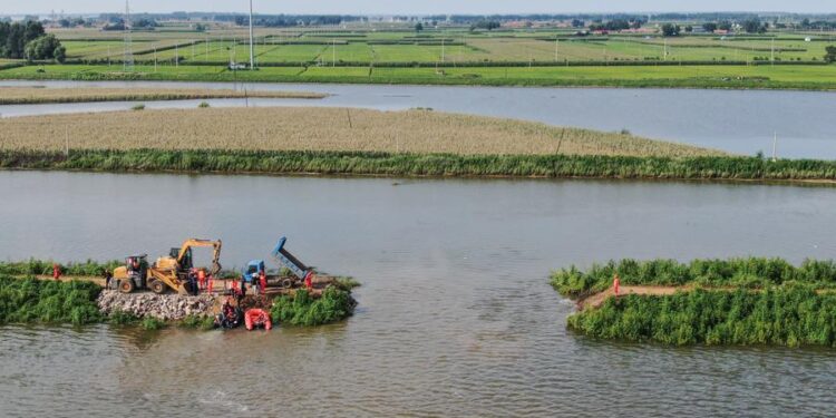 China’s central bank boosts financial support for agriculture, small businesses