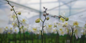 High-quality development research trip | From scarred to lush trees, abandoned mines “transformed”