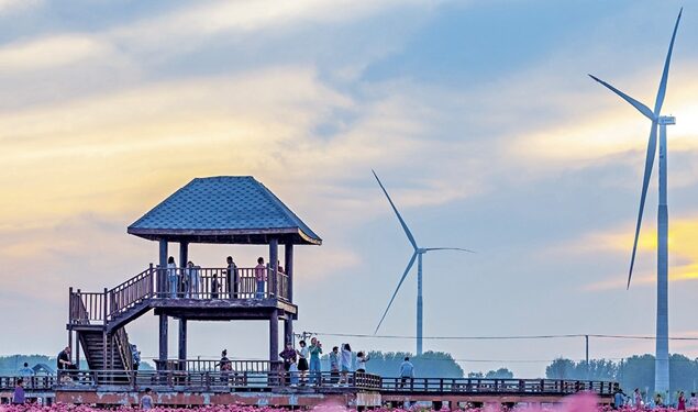 Overinterpreted green production