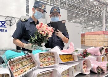 The first transit trade operation for fresh flowers from Africa