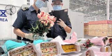 The first transit trade operation for fresh flowers from Africa