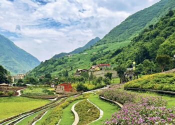 The road to common prosperity