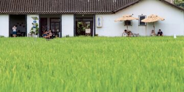 Return to the countryside