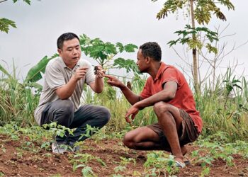 The fruits of friendship