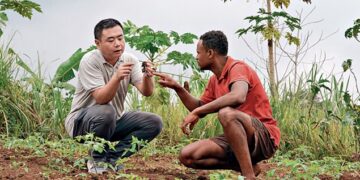 The fruits of friendship