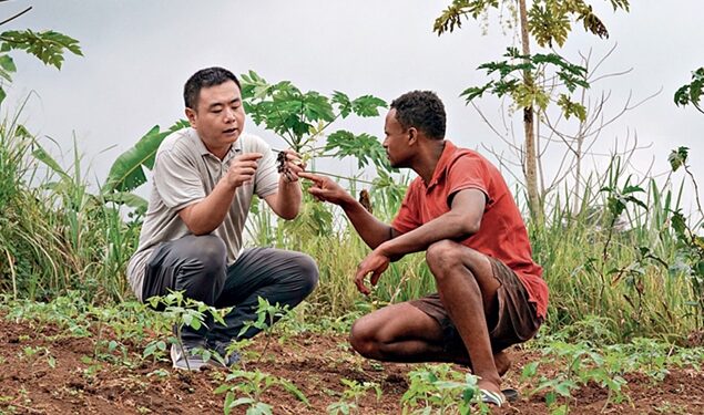 The fruits of friendship