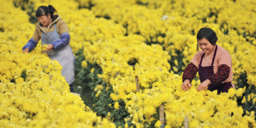 Why is GEP important?