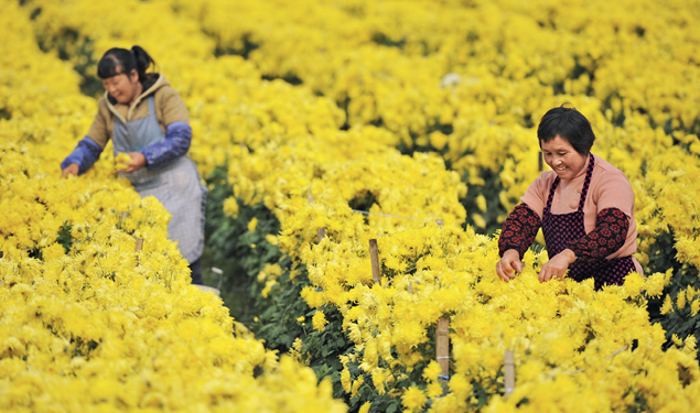 Why is GEP important?