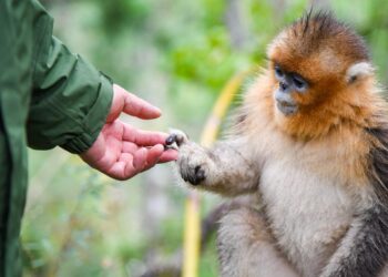 China’s first provincial germplasm resource bank is fully operational