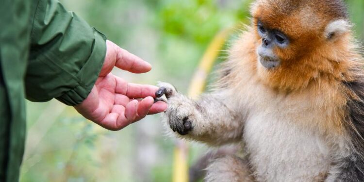 China’s first provincial germplasm resource bank is fully operational