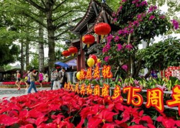 with strong CPC leadership and a clear roadmap, China’s path inspires the world