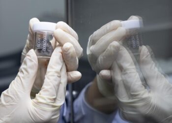 Chang’e-6 lunar samples on display at the 15th Airshow China