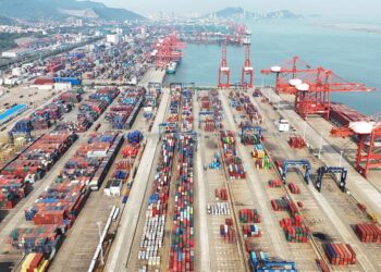 China will step up efforts to join DEPA