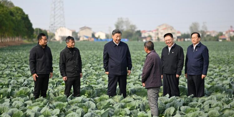 Xi Jinping inspects central Hubei province