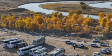 non-manufacturing sector IDA stands at 50.2 in October