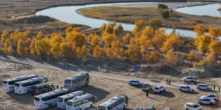 non-manufacturing sector IDA stands at 50.2 in October