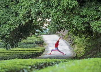 Actions joined to words