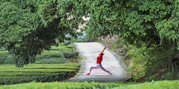 Actions joined to words