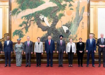 Xi Jinping meets heads of major international economic organizations