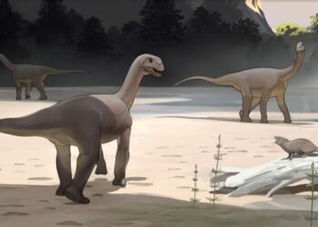 Ancient Discovery丨Chinese scientists discovered the world’s smallest sauropod dinosaur footprint fossil in Tibet