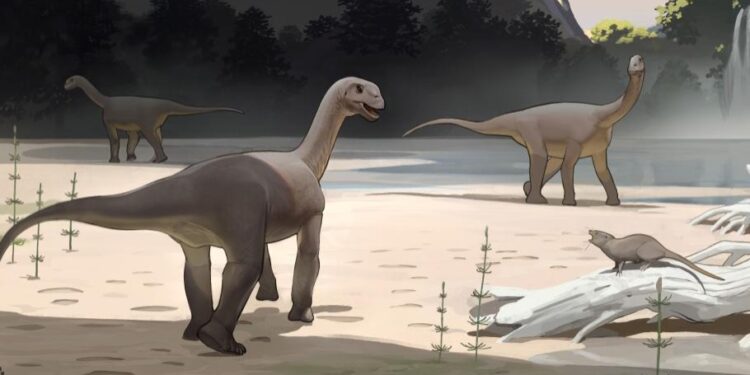 Ancient Discovery丨Chinese scientists discovered the world’s smallest sauropod dinosaur footprint fossil in Tibet