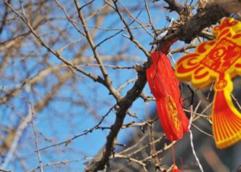 At the beginning of the holiday, the weather in most areas of the country is fine and the temperature rises