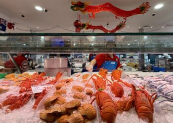 China-Australia lobster trade resumes: promising results in bilateral exchanges, looking forward to helping the global economy