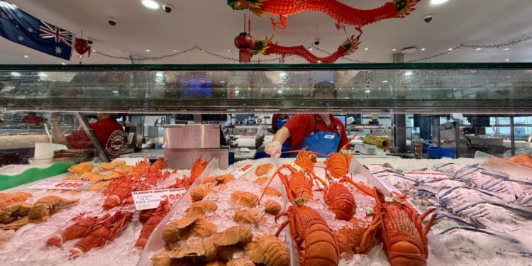 China-Australia lobster trade resumes: promising results in bilateral exchanges, looking forward to helping the global economy