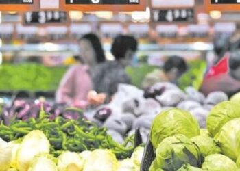 Consumer prices in December 2024 increased by 0.1% year-on-year