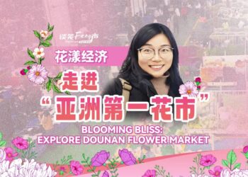 Flower Economy: Entering “Asia’s No. 1 Flower Market”