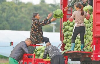 Grain output exceeded 1.4 trillion catties for the first time, and agricultural science and technology progress contributed more than 63%