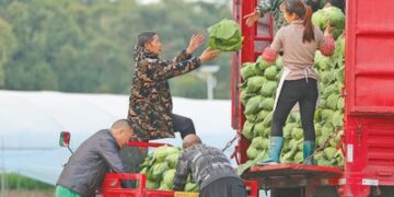 Grain output exceeded 1.4 trillion catties for the first time, and agricultural science and technology progress contributed more than 63%