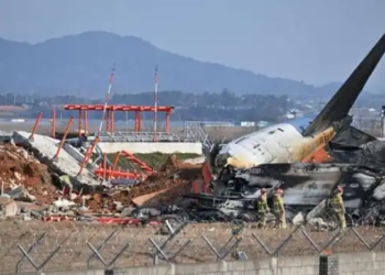 Hot Q&A丨The technical safety hazards behind the South Korean plane crash