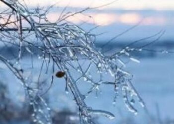 Most of the country is experiencing cold weather, and the first round of widespread rain and snow this year hits the South