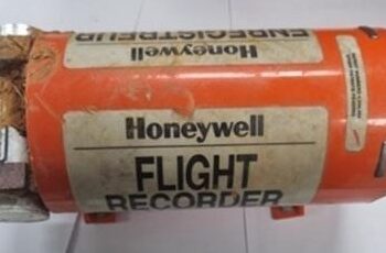 Or the black box data is missing. South Korean officials confirmed that there were bird feathers in both engines of the Jeju Air crashed passenger plane.