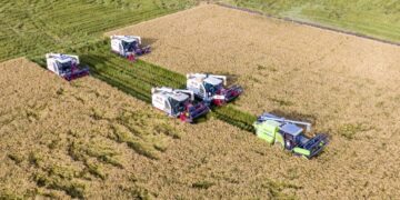 Promote large-area yields of grain and oil crops to increase China’s rice bowl steadily