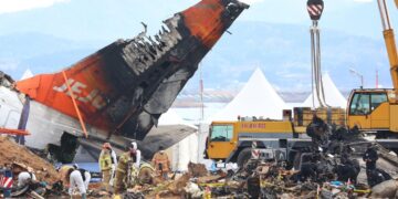 South Korea’s Ministry of Land, Infrastructure, Transport and Tourism confirmed that the Jeju Air passenger plane suffered a bird strike before the crash