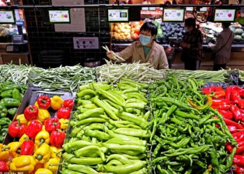 Specialty agricultural products “popular” the Spring Festival market