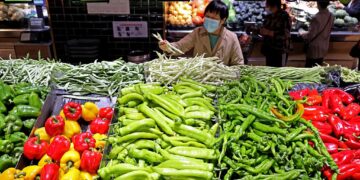 Specialty agricultural products “popular” the Spring Festival market