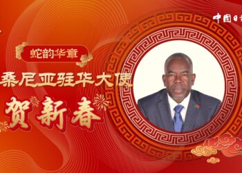 [Take a look at the overseas Chinese]Snake Yunhua Zhang Tanzania Ambassador He New Year