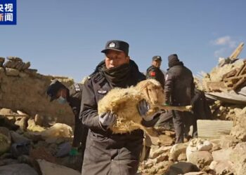 The Ministry of Public Security deploys Tibetan public security organs to carry out earthquake relief work