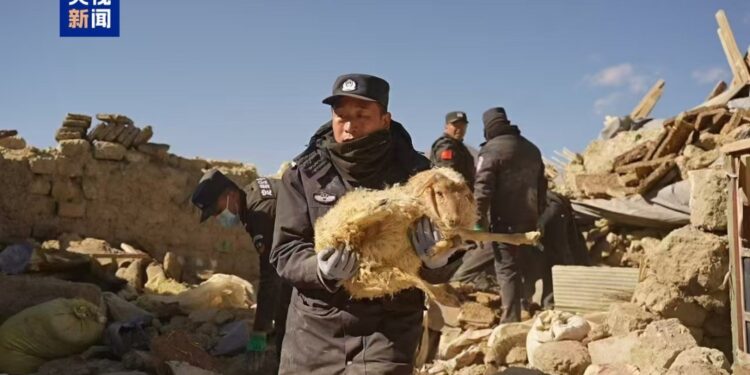 The Ministry of Public Security deploys Tibetan public security organs to carry out earthquake relief work
