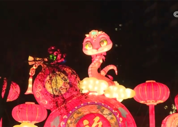 The “thriving” potential of the festival consumer market continues to be released, and the fireworks are full of festive atmosphere.