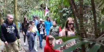 The visa-free effect continues to show that “travel to China” has become a “hot” experience