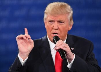 Trump: ‘Probably’ giving TikTok a 90-day grace period on the day he takes office