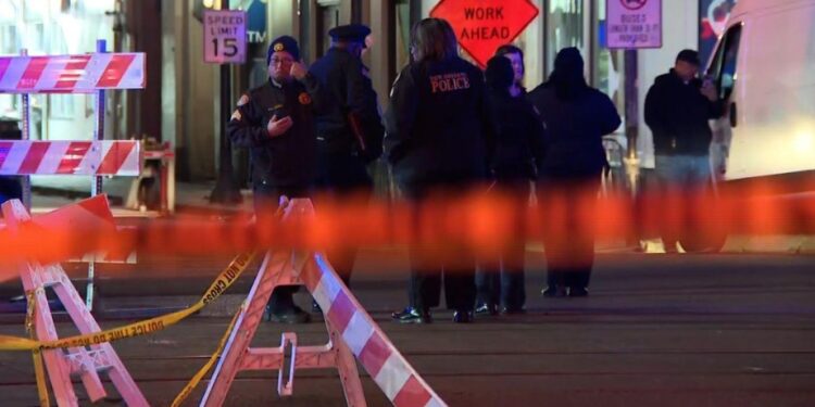 U.S. police confirm suspect in car collision is U.S. citizen