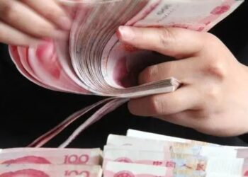 Word of the day | government investment funds