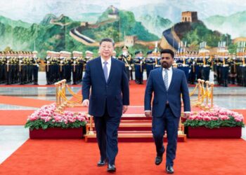Xi Jinping calls for new impetus to China-Sri Lanka cooperation